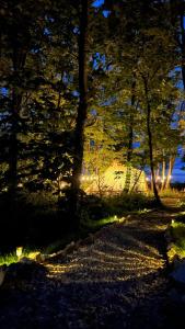 a night view of a tent in the woods at Glamping at Camp Corve in Chale