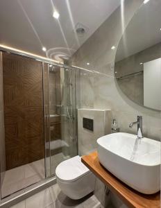 y baño con aseo, lavabo y ducha. en Kavos Hotel, en Patitiri