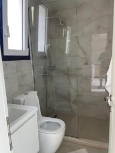 a bathroom with a toilet and a glass shower at Aria's Apartment 2 in Himare