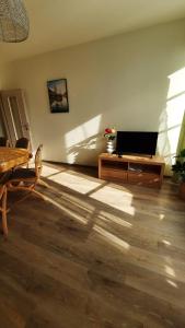 TV a/nebo společenská místnost v ubytování Apartmán PERLA 28, Říčky