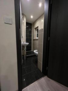 a bathroom with a toilet and a sink at Ferienwohnung Vogtland in Adorf
