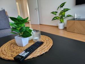 een tafel met een afstandsbediening en een plant erop bij Zentrumsnahe Wohlfühloase in Kassel