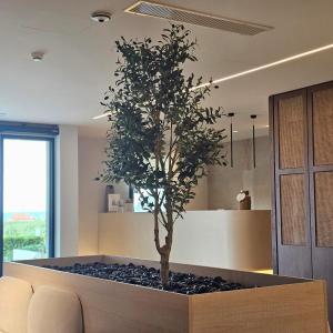 Fotografie z fotogalerie ubytování Ocean Beach Hotel v destinaci Skala Potamias