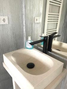 a bathroom sink with a bottle of soap on it at Casa Ryana Gilau in Gilău