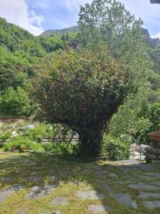 Gallery image of Maison atypique in Tende +6 photos