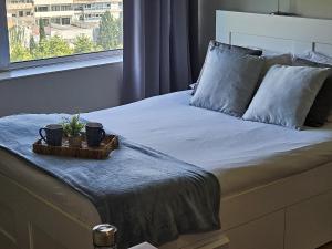 - une chambre avec un lit doté de 2 plantes dans l'établissement Oporto Trindade Residence, à Porto