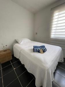 坦皮科的住宿－Oaxaca Stay In Alberca，一间卧室配有一张床,床上有毛巾