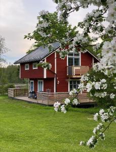 a red house with a deck and a flowering tree at Sea Side Cabin in Borlänge