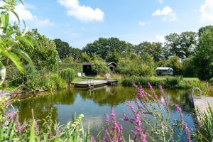 a view of a pond with a cabin in the background at Safari tent 1 op Wellness Camping en B&B Stoltenborg in Winterswijk-Meddo