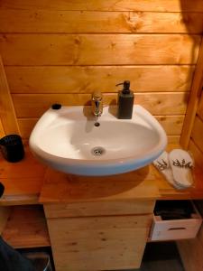 a bathroom with a sink in a wooden wall at Sterrenzicht BB Weidszicht in Doezum
