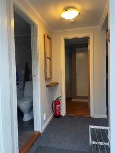 a bathroom with a toilet and a fire extinguisher at Stuga Tjörn/Almösund in Almösund