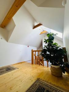 a room with a potted plant sitting on a wooden floor at In heart of Trakai you'll find authentic Karaim house in Trakai