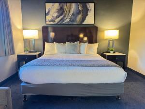 duże łóżko w pokoju hotelowym z 2 lampami w obiekcie Quality Inn & Suites w mieście Jackson