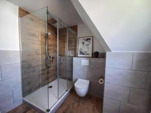 a bathroom with a glass shower with a toilet at Johannsen-Huis-Appartement-Dena in Tinnum