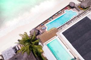 an overhead view of a swimming pool next to the beach at Pili Pili Boho in Jambiani