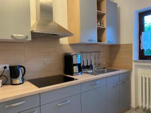 Η κουζίνα ή μικρή κουζίνα στο Ferienwohnung Sara