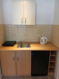 a kitchen counter with a sink and a microwave at Przy Lesie Apartamenty Pokoje Parking in Pobierowo +93 photos