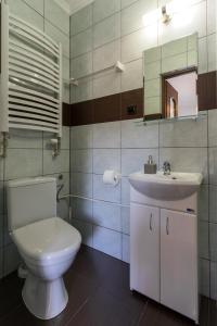 a bathroom with a toilet and a sink at Pokoje Goscinne AnMar in Krościenko +14 photos