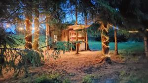 a cabin in the middle of a forest at night at Karklini glamping in Cēsis