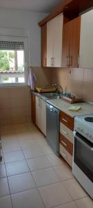 a kitchen with a sink and a stove top oven at ANTONIJ Apartment Gevgelija in Gevgelija +10 photos