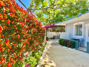 Φωτογραφία από το άλμπουμ του Tomi Apartments στους Αγίους Σαράντα