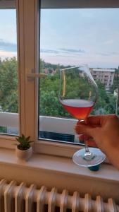 a person holding a glass of wine in front of a window at Plavi Tirkiz in Pančevo