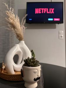 a table with a pot with a plant and a tv at Jo's Studios in Myrina
