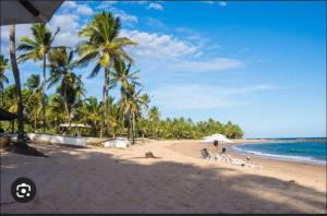 a beach with palm trees and people sitting on the sand at Apartamento DA PAZ perto de Jauá(4km) Villas do Atlantico(4km) in Camaçari