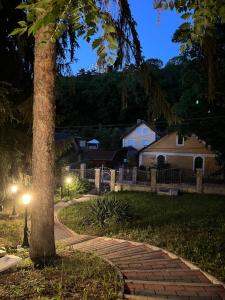 a palm tree and a brick walkway at night at Klára Villa in Balatonboglár