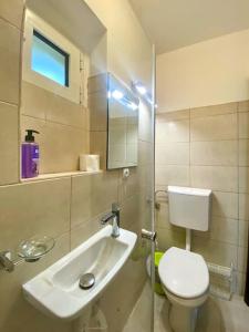 a bathroom with a white toilet and a sink at Lovely Beach House with Own Beach & SUP for Guests in Donji Morinj