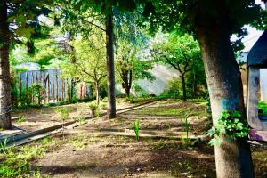 Zahrada ubytování Schöpfwerk Hostel 10