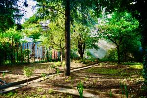 Zahrada ubytování Schöpfwerk Hostel 10
