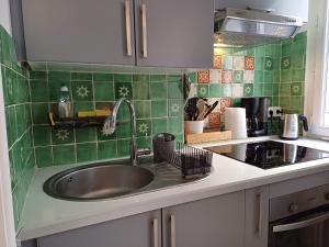 uma cozinha com um lavatório e azulejos verdes em Appartement Nice Libération em Nice mais 7 fotografias