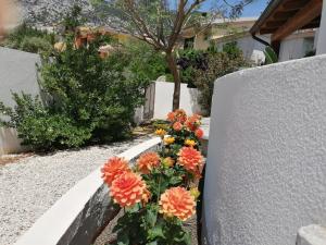 a bunch of flowers in a garden next to a fence at Kind of Blue in Cala Gonone