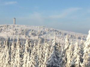 a snow covered hill with a lighthouse in the distance at Haus Wiesenquelle in Feldberg