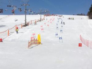 a group of people skiing down a snow covered slope at Haus Wiesenquelle in Feldberg