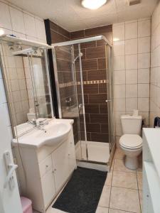 a bathroom with a shower and a sink and a toilet at Apt capitale du Luberon appartement 3 chambres 4 lits in Apt