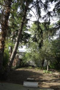 Zahrada ubytování U6 Schöpfwerk Home
