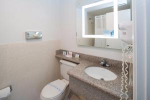 ein Badezimmer mit einem WC, einem Waschbecken und einem Spiegel in der Unterkunft Inn On Grove in San Francisco
