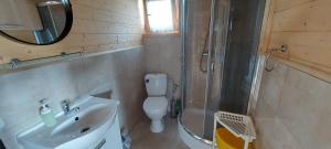 a bathroom with a shower and a toilet and a sink at Lemanka Domek Letniskowy in Gowidlino