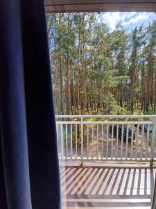 widok z okna werandy z drzewami w obiekcie Leśny zakątek w mieście Radzyń