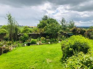 Zahrada ubytování Countryside cottage near Crediton