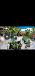 Gallery image of Secret gardens guest house in Tamiami