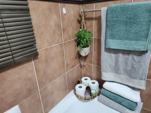 a bathroom with a sink and towels and a plant at Lions Haven in Pretoria +88 photos