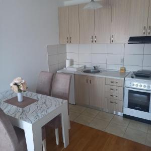 Kuchyň nebo kuchyňský kout v ubytování Apartman MG + 6 fotografií
