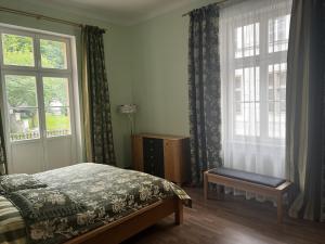 sypialnia z łóżkiem i oknem w obiekcie Villa Wingolf w Karlowych Warach