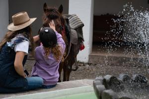 Una niña está acariciando un caballo junto a una fuente. en Hostería Hacienda Pinsaqui, en Otavalo