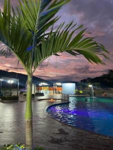 聖赫羅尼莫的住宿－Apartasol San jerónimo OASIS，棕榈树在泳池前的夜晚
