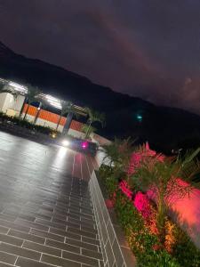 聖赫羅尼莫的住宿－Apartasol San jerónimo OASIS，夜间有鲜花和灯光的停车场