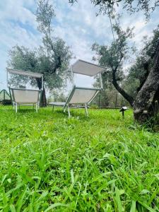 two benches sitting in the grass in a field at Appartamento Cá Medé in Castelnuovo Magra
